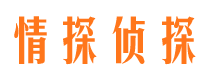 平湖侦探公司